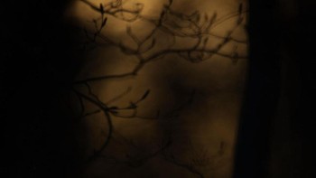 Juara kelima di kategori burung. Karya Maximilian Hornisch. Foto: German Society for Nature Photography