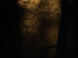 Jawara Kontes Foto Alam yang Bikin Takjub