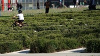 Di bawah kebijakan lockdown nasional, kemacetan lalu lintas di Kota Milan pun telah turun 30-75 persen, dan tentunya menurunkan tingkat polusi udara disana.