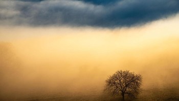 Juara pertama di kategori landscape. Karya Benjamin Waldmann. Foto: German Society for Nature Photography