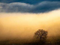 Jawara Kontes Foto Alam yang Bikin Takjub