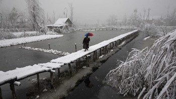 Ini foto karya Dar Yasin di Danau Dal, Srinagar pada 13 Desember 2019. AP Photo/Dar Yasin.