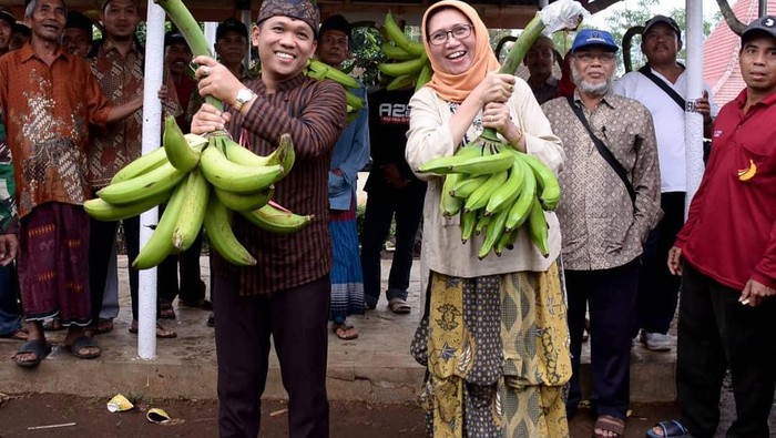 bupati lumajang