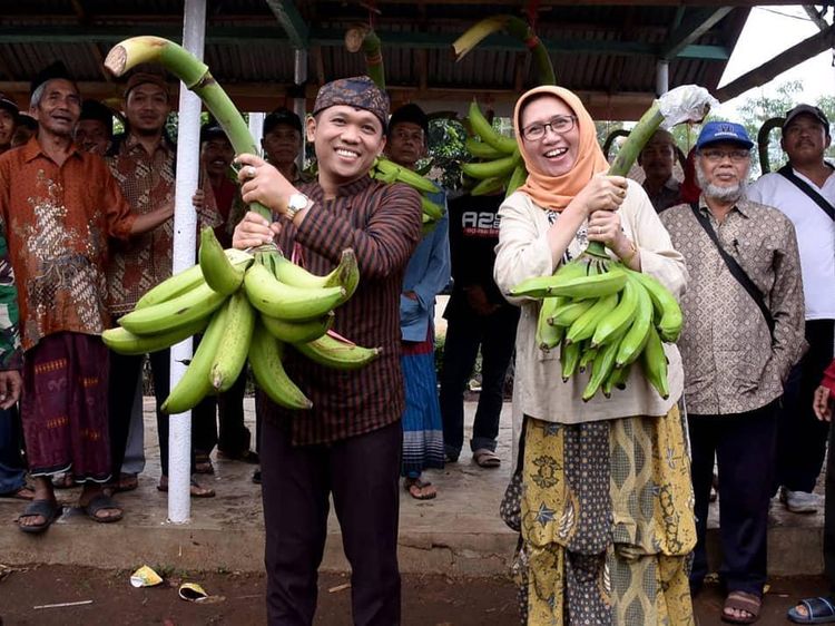 Heboh Karena Adu Mulut, Bupati Lumajang Hobi Panen dan Makan di Sawah