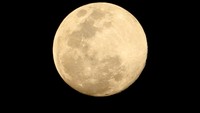 Super Flower Moon terlihat dari Desa Alue Raya, Kecamatan Samatiga, Aceh Barat, Aceh, Rabu (6/5/2020). Antara Foto/Syifa Yulinnas.