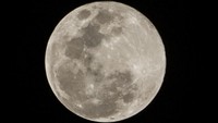 Fenomena Supermoon terakhir untuk tahun 2020 ini bernama flower moon dan bisa terlihat sepanjang malam di seluruh dunia. Rifkianto Nugroho/detikcom