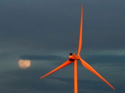 Potret Keindahan Supermoon di Berbagai Penjuru Dunia