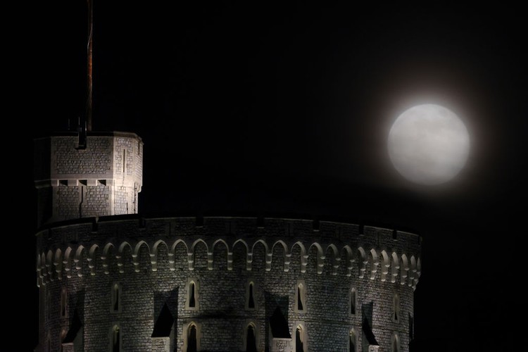 Potret Keindahan Supermoon di Berbagai Penjuru Dunia Potret Keindahan Supermoon di Berbagai Penjuru Dunia
Keindahan bulan purnama besar atau Supermoon menjadi fenomena terakhir di tahun 2020. Ini juga terlihat jelas hampir diberbagai belahan dunia. Beginilah foto-fotonya.