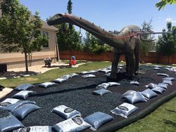 Dinosaurus Jadi Tempat Bermain Selama Isolasi Corona