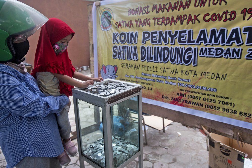 Warga berdonasi untuk Kebun Binatang Medan.