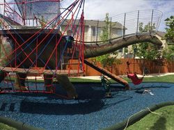 Dinosaurus Jadi Tempat Bermain Selama Isolasi Corona