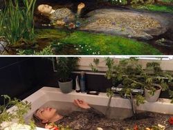 Kreatif! Orang-Orang Ini Tiru Lukisan Terkenal