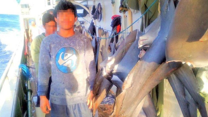 ABK Indonesia di kapal China: Tidur hanya tiga jam, makan umpan ikan, hingga pengalaman pahit yang sulit dilupakan melarung jenazah teman
