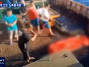 Nasib Perbudakan Pekerja Indonesia di Kapal Penangkapan Ikan Milik China