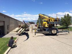 Dinosaurus Jadi Tempat Bermain Selama Isolasi Corona