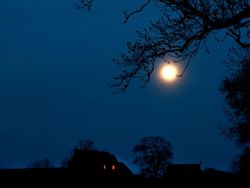 Potret Keindahan Supermoon di Berbagai Penjuru Dunia