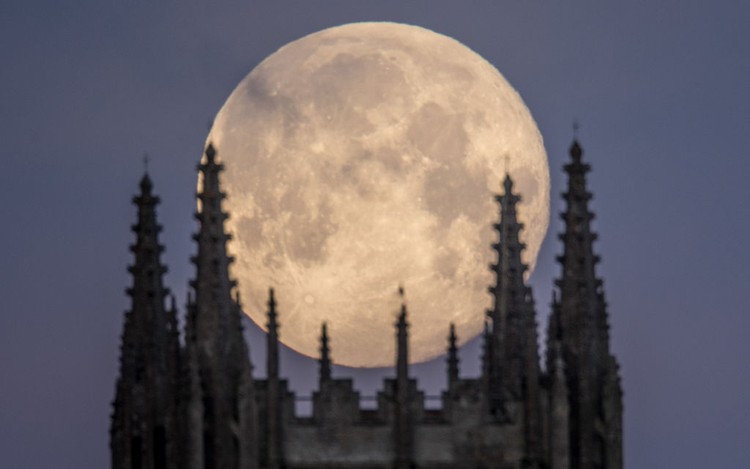 Potret Keindahan Supermoon di Berbagai Penjuru Dunia

Keindahan bulan purnama besar atau Supermoon menjadi fenomena terakhir di tahun 2020. Ini juga terlihat jelas hampir diberbagai belahan dunia. Beginilah foto-fotonya.