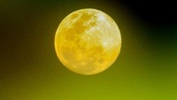 Pada tahun 2020 bulan seperti ini dapat dilihat selama 4 kali, namun sayangnya malam ini adalah malam terakhir kita dapat memandangnya. ANTARA FOTO/Syifa Yulinnas