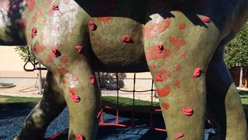 Cosman memang sudah memiliki sejarah dalam bidang teknik kedirgantaraan, sehingga membuat proyek seperti ini merupakan hobinya. (Istimewa/Dok. Bored Panda/thecauseman)