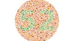 Tes Buta Warna, Bisa Lihat Angka Tersembunyi di Gambar Ini?