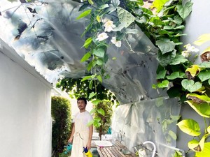 Gabut! Giring Ganesha Sibuk Tanam Bawang dan Brokoli di Rumah