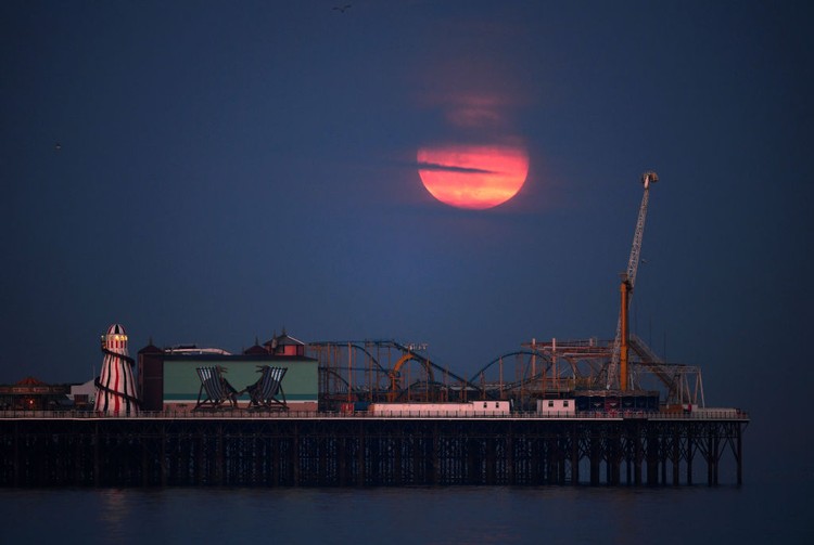 Potret Keindahan Supermoon di Berbagai Penjuru Dunia Potret Keindahan Supermoon di Berbagai Penjuru Dunia
Keindahan bulan purnama besar atau Supermoon menjadi fenomena terakhir di tahun 2020. Ini juga terlihat jelas hampir diberbagai belahan dunia. Beginilah foto-fotonya.
