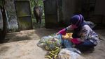 Foto: Satwa Kebun Binatang Medan Bertahan Hidup dari Sumbangan Warga