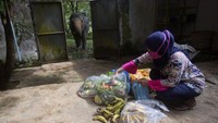 Keadaan satwa yang kelaparan mengundang simpati warga untuk bergotong-royong menyumbangkan makanan agar para satwa tetap hidup. Masyarakat menyumbangkan buah-buahan, sayur-sayuran, dan daging.  (Foto: Binsar Bakkara/AP)