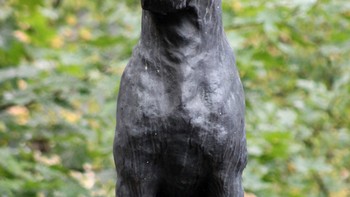 Dibuat pada 1935, monumen Pavlovs dog di St. Petersburg adalah salah satu monumen hewan tertua di Rusia. Dibangun untuk menghargai hewan yang disertakan dalam studi dan eksperimen. Foto: FotoRand