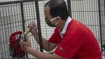 Halo Traveler, Burung-Burung di Taman Mini Butuh Bantuan Makanan