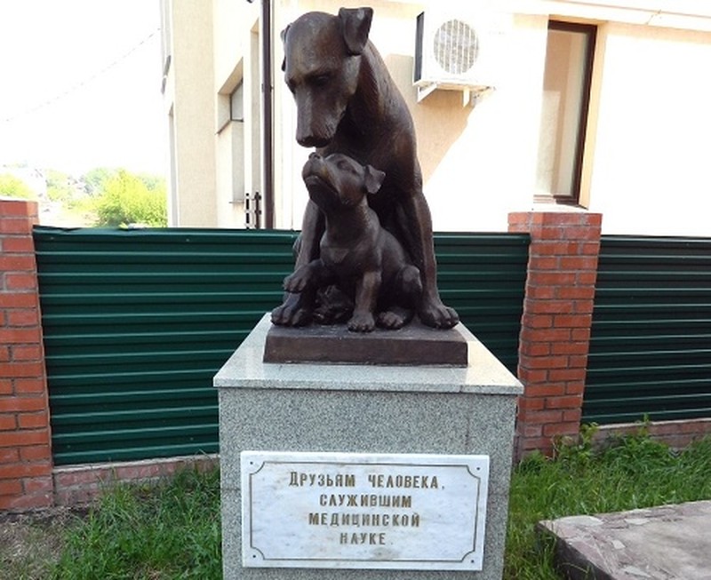 Sudah tak asing lagi bahwa hewan kerap jadi objek uji coba -- meski terdengar kejam tapi itu faktanya. Berikut ini beberapa patung untuk mengenang mereka