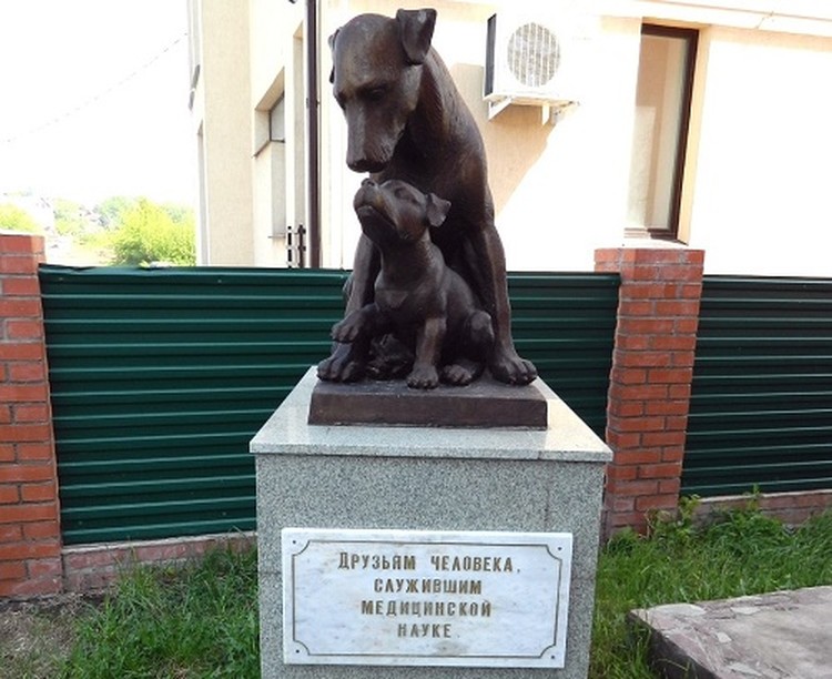 Monumen hewan Sudah tak asing lagi bahwa hewan kerap jadi objek uji coba -- meski terdengar kejam tapi itu faktanya. Berikut ini beberapa patung untuk mengenang mereka