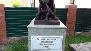 Ini adalah monumen di Ufa tentang seekor anjing besar dan anak anjing Mongrel. Didirikan atas dasar yang sama dengan sebelumnnya -- menghargai teman kita yang rela berkorban demi kemajuan penelitian. Foto: Vsuete