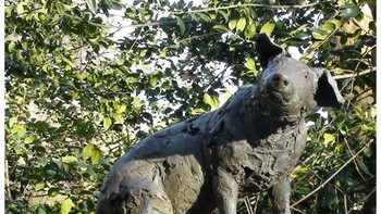 The Brown Dog Memorial dibuat oleh Nicola Hicks. Patung saat ini adalah patung kedua untuk mengenang seekor anjing yang telah dibedah tanpa anestesi oleh beberapa profesor selama periode dua bulan. Patung asli telah disingkirkan oleh polisi setelah kerusuhan antara mahasiswa kedokteran dan aktivis anti-vivisection. Foto: London Remembers