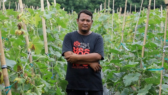 preman jadi petani preman jadi petani
