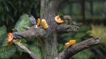 Foto: Spot-spot Asyik di Taman Mini Indonesia Indah