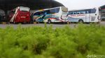 Potret Sepinya Terminal hingga Bandara di Indonesia