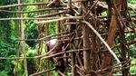 Foto: Tradisi Lompat Kematian Menuju Kedewasaan Pria Vanuatu