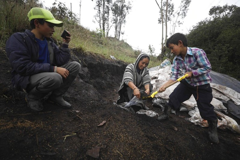 Wabah Corona berdampak ke berbagai sektor kehidupan masyarakat. Seperti petani wanita di Kolombia ini yang mengisi waktu karantina Corona dengan jadi Youtuber.