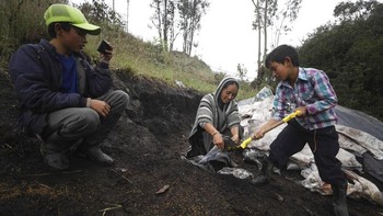 Bersama kedua anaknya, Nubia kerap merekam video terkait kiat-kiat menanam sayuran di rumah untuk diunggah ke kanal YouTube miliknya.
