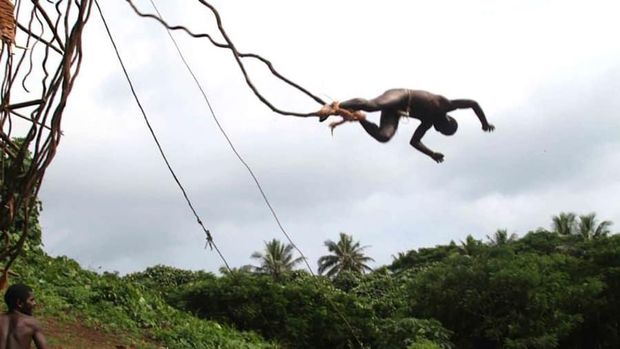 Tradisi Land Diving di Vanuatu