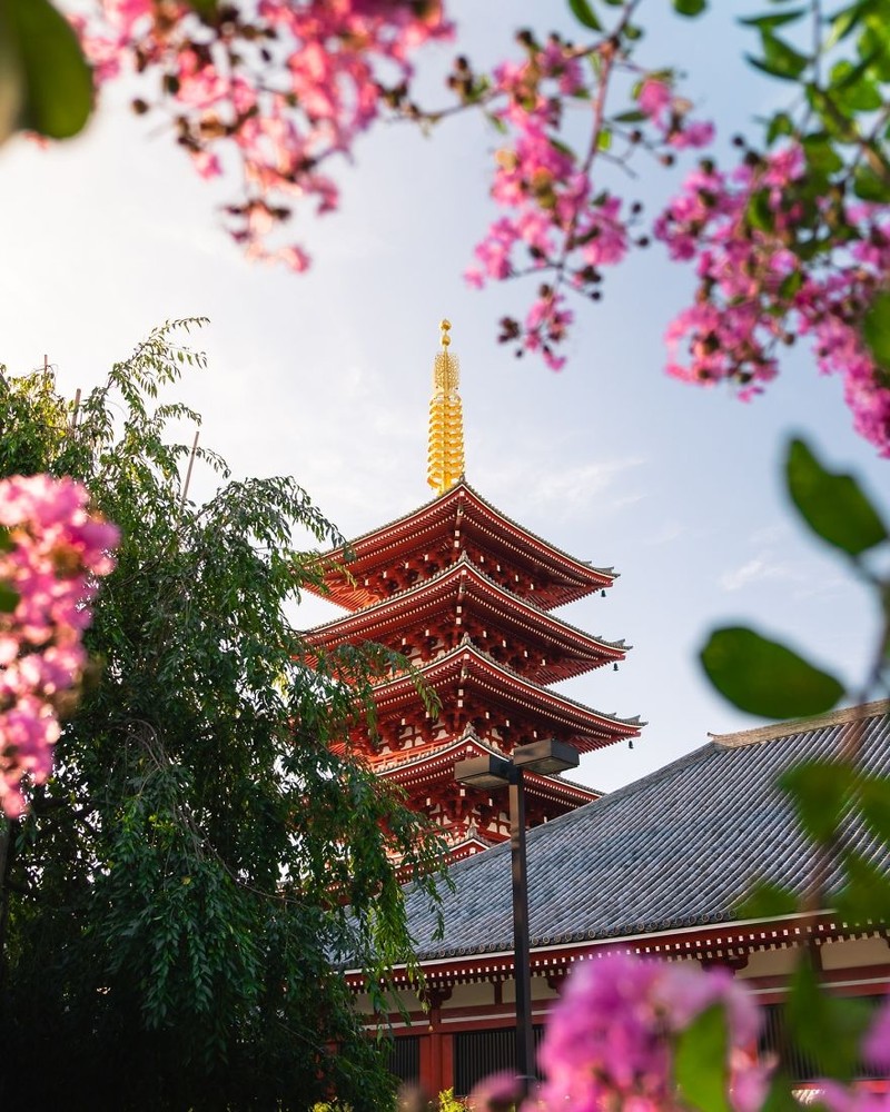 Musim semi kerap dinanti oleh sejumlah orang. Pasalnya di musim itu bunga-bunga bermekaran dengan beragam warna yang memesona. Berikut fotonya.