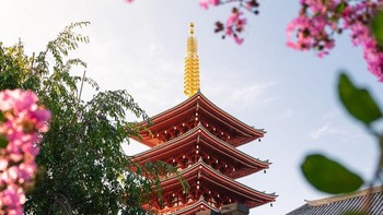 Potret Kuil Senso-ji di Tokyo, Jepang, dengan bingkai bunga-bunga bermekaran di saat musim semi. Istimewa/Dok. Boredpanda/Agora/@alvarovaliente_.