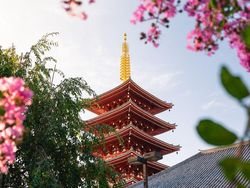 Deretan Foto Keindahan Musim Semi yang Memanjakan Mata