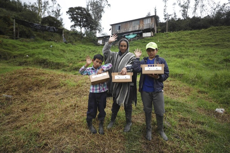Wabah Corona berdampak ke berbagai sektor kehidupan masyarakat. Seperti petani wanita di Kolombia ini yang mengisi waktu karantina Corona dengan jadi Youtuber.