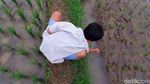 Asyiknya Anak-anak di Sumedang Ngabuburit dengan Memancing Belut