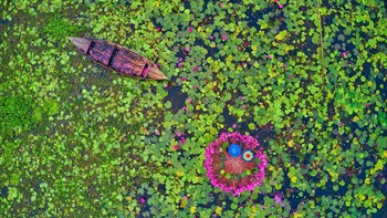 Potret dua orang anak laki-laki di kawasan Barisal, Bangladesh, tampak mengenakan payung saat sedang mengumpulkan bunga teratai untuk kembali di jual di pasar setempat. Istimewa/Dok. Boredpanda/Agora/@azimronnie.