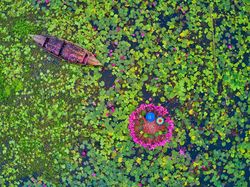 Deretan Foto Keindahan Musim Semi yang Memanjakan Mata