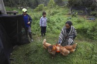 Wabah Corona berdampak ke berbagai sektor kehidupan masyarakat. Seperti petani wanita di Kolombia ini yang mengisi waktu karantina Corona dengan jadi Youtuber.