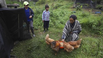 Sehari-harinya, Nubia merupakan seorang petani. Di masa-masa karantina pencegahan Corona ini ia bersama kedua anaknya mengisi waktu dengan menjadi YouTuber.